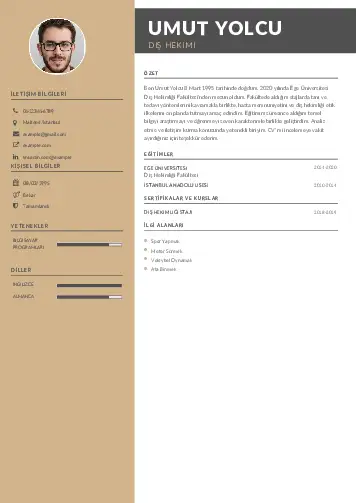 Diş Hekimi cv indir